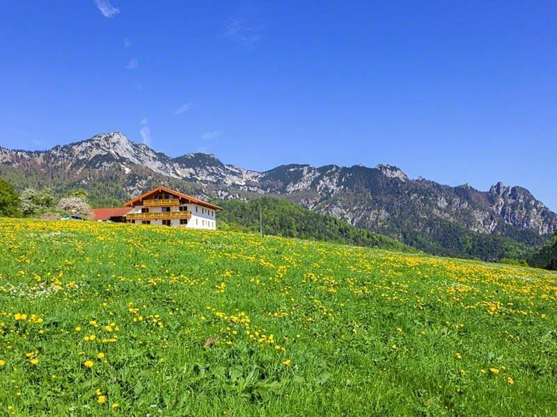 Ferienwohnung Roislerlehen Бішофсвізен Екстер'єр фото